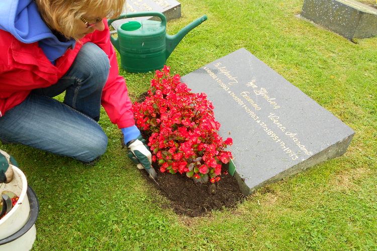 skötsel av blommor